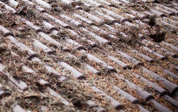 Axford roof cleaning companies