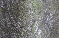 Axford fibreglass roof work